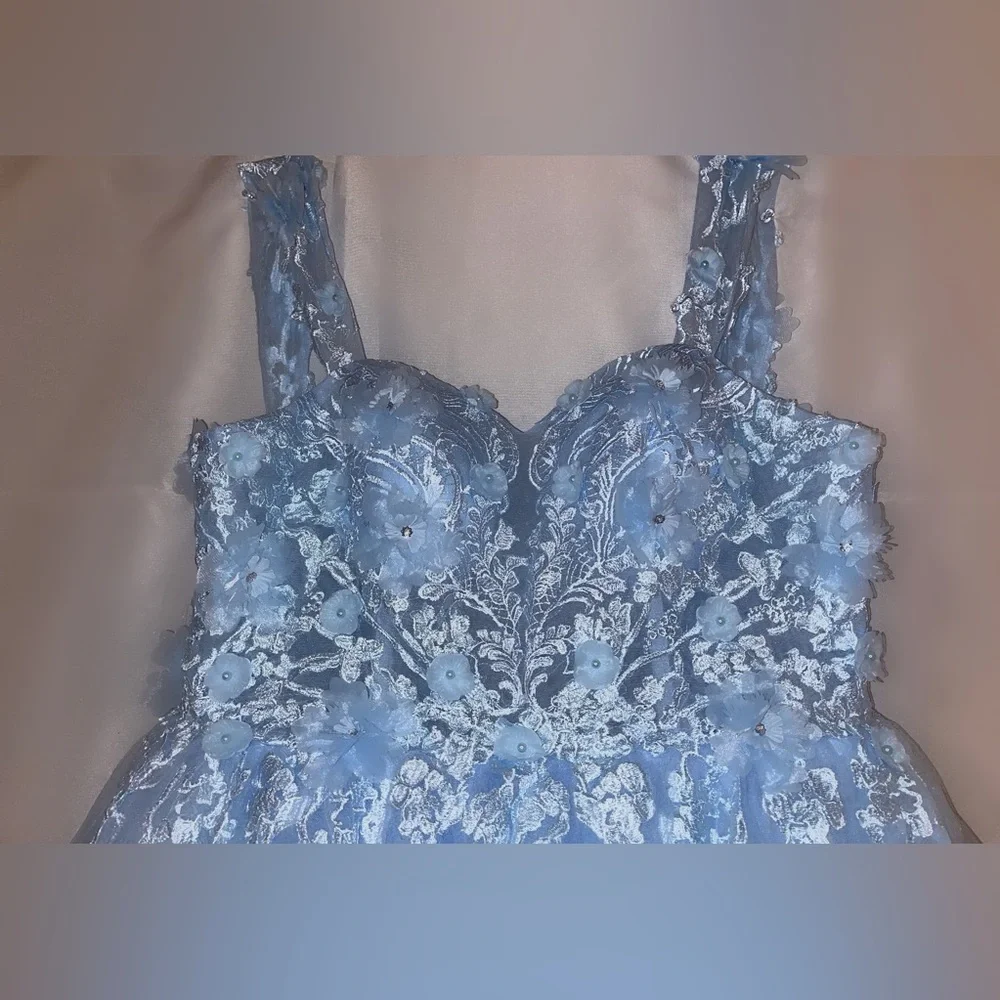 Cinderella Themed Size 14 Prom and Special Occasion Dress - Picture 2 of 7